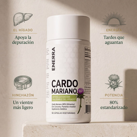 Enerra Cardo Mariano Detox Hepático — Fórmula con 80% de Silimarina 742832615094 MC-1 Cardo Mariano Detox Hepático — Fórmula con 80% de Silimarina