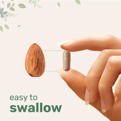 Liver+ Milk Thistle Liver Detox & Colon Cleanse Enerra