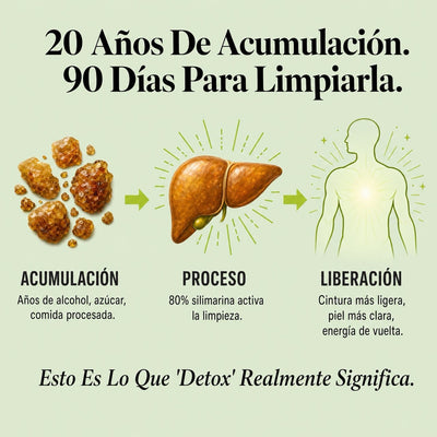 Enerra Cardo Mariano Detox Hepático — Fórmula con 80% de Silimarina 742832615094 Cardo Mariano Detox Hepático — Fórmula con 80% de Silimarina