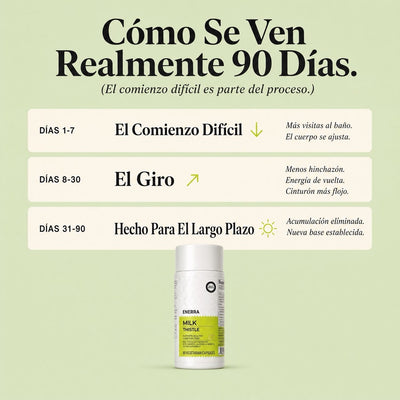 Enerra Cardo Mariano Detox Hepático — Fórmula con 80% de Silimarina 742832615094 Cardo Mariano Detox Hepático — Fórmula con 80% de Silimarina
