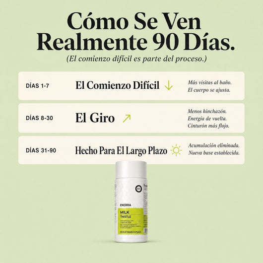 Enerra Cardo Mariano Detox Hepático — Fórmula con 80% de Silimarina 742832615094 Cardo Mariano Detox Hepático — Fórmula con 80% de Silimarina