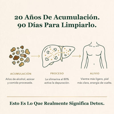 Enerra Cardo Mariano Detox Hepático — Fórmula con 80% de Silimarina 742832615094 MC-1 Cardo Mariano Detox Hepático — Fórmula con 80% de Silimarina