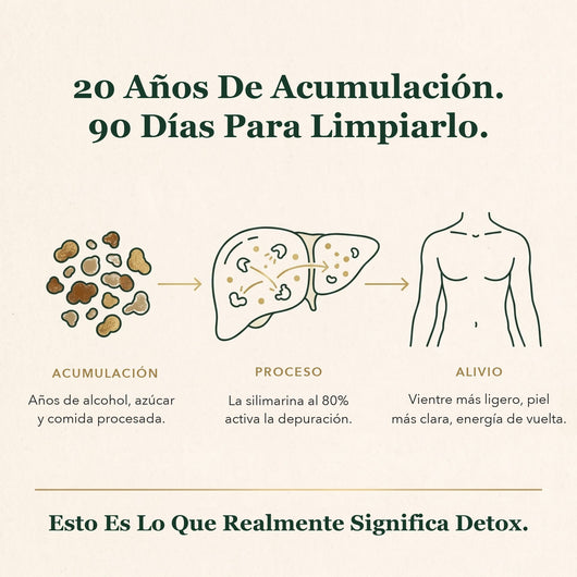 Enerra Cardo Mariano Detox Hepático — Fórmula con 80% de Silimarina 742832615094 MC-1 Cardo Mariano Detox Hepático — Fórmula con 80% de Silimarina